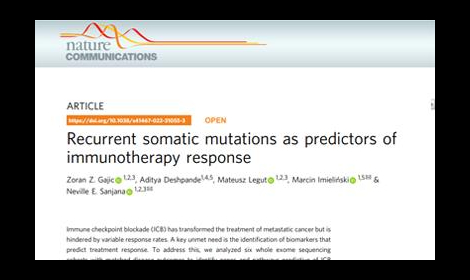 Search for somatic mutations to predict response to cancer immunotherapy using whole exome sequencing
